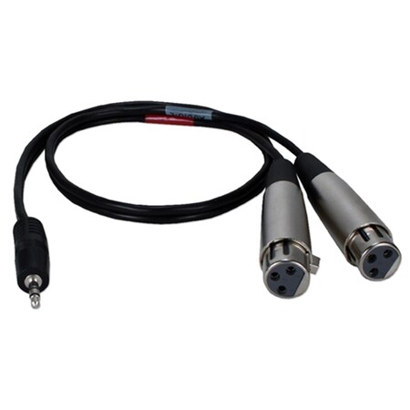 Qvs QVS XLRMIC-Y02 2 ft. & 3.5 mm Male to Dual-XLR Female Dual-Microphone Audio Y-Cable XLRMIC-Y02